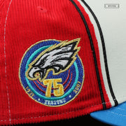 PHILADELPHIA EAGLES 75TH ANNIVERSARY TATSUNOKO KEN THE EAGLE INSPIRED NEW ERA HAT