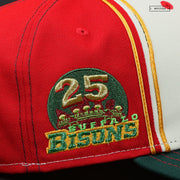 BUFFALO BISONS 25TH ANNIVERSARY 90'S JERSEY INSPIRED NEW ERA FITTED CAP