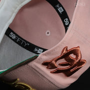 GREAT FALLS ELECTRICS STRAWBERRY CHOCOLATE ICE CREAM NEW ERA FITTED CAP