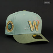 WASHINGTON NATIONALS CITY CONNECT THE DOLLAR AND CHERRY BLOSSOM NEW ERA HAT