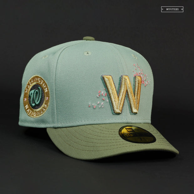 WASHINGTON NATIONALS CITY CONNECT THE DOLLAR AND CHERRY BLOSSOM NEW ERA HAT