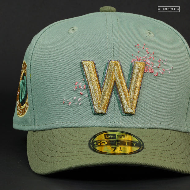 WASHINGTON NATIONALS CITY CONNECT THE DOLLAR AND CHERRY BLOSSOM NEW ERA HAT