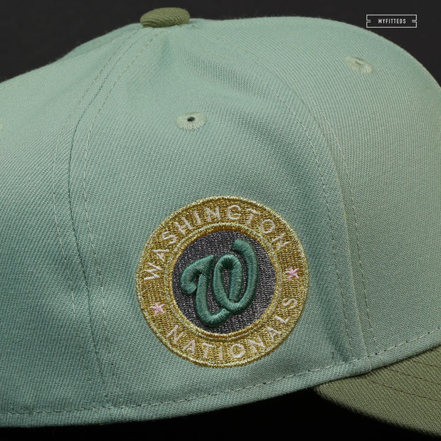 WASHINGTON NATIONALS CITY CONNECT THE DOLLAR AND CHERRY BLOSSOM NEW ERA HAT
