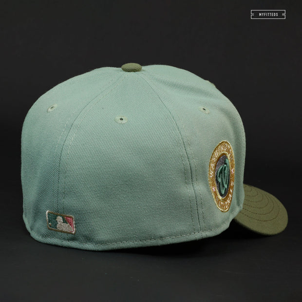 WASHINGTON NATIONALS CITY CONNECT THE DOLLAR AND CHERRY BLOSSOM NEW ERA HAT