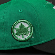 NEW YORK METS NYC PARKS NEW ERA FITTED CAP