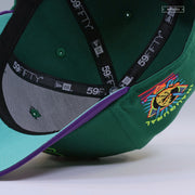 ANAHEIM MIGHTY DUCKS 1993 INAUGURAL SEASON THE WINDWAKER INSPIRED NEW ERA FITTED CAP