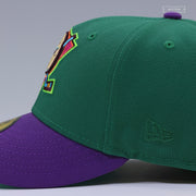 ANAHEIM MIGHTY DUCKS 1993 INAUGURAL SEASON THE WINDWAKER INSPIRED NEW ERA FITTED CAP