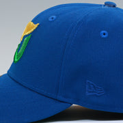HARTFORD WHALERS TEN YEARS OF WHALERS HOCKEY SEASHORE SLATE NEW ERA FITTED CAP
