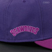 ERIE SEAWOLVES SEAWOLF NEW ERA FITTED CAP