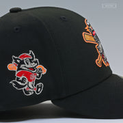 ERIE SEAWOLVES THE HOWLERS COME OUT AND PLAY-YAY WARRIORS INSPIRED NEW ERA FITTED CAP
