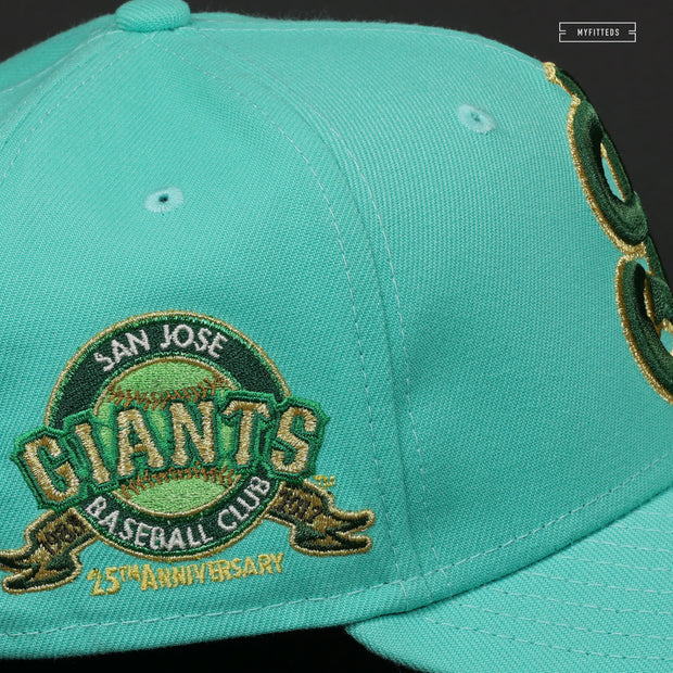 SAN JOSE GIANTS 25TH ANNIVERSARY QUIDDITCH THROUGH THE AGES INSPIRED NEW ERA HAT