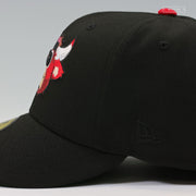 CHICAGO BULLS BENNY THE BULL MASCOT SILHOUETTE NEW ERA FITTED CAP