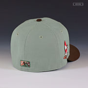 WICHITA WIND SURGE THE WILD ROBOT ESCAPES INSPIRED NEW ERA FITTED CAP