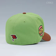 ERIE SEAWOLVES 1995-2025 30 SEASONS KING ROBIN HOOD INSPIRED NEW ERA FITTED CAP