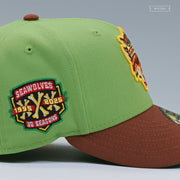 ERIE SEAWOLVES 1995-2025 30 SEASONS KING ROBIN HOOD INSPIRED NEW ERA FITTED CAP